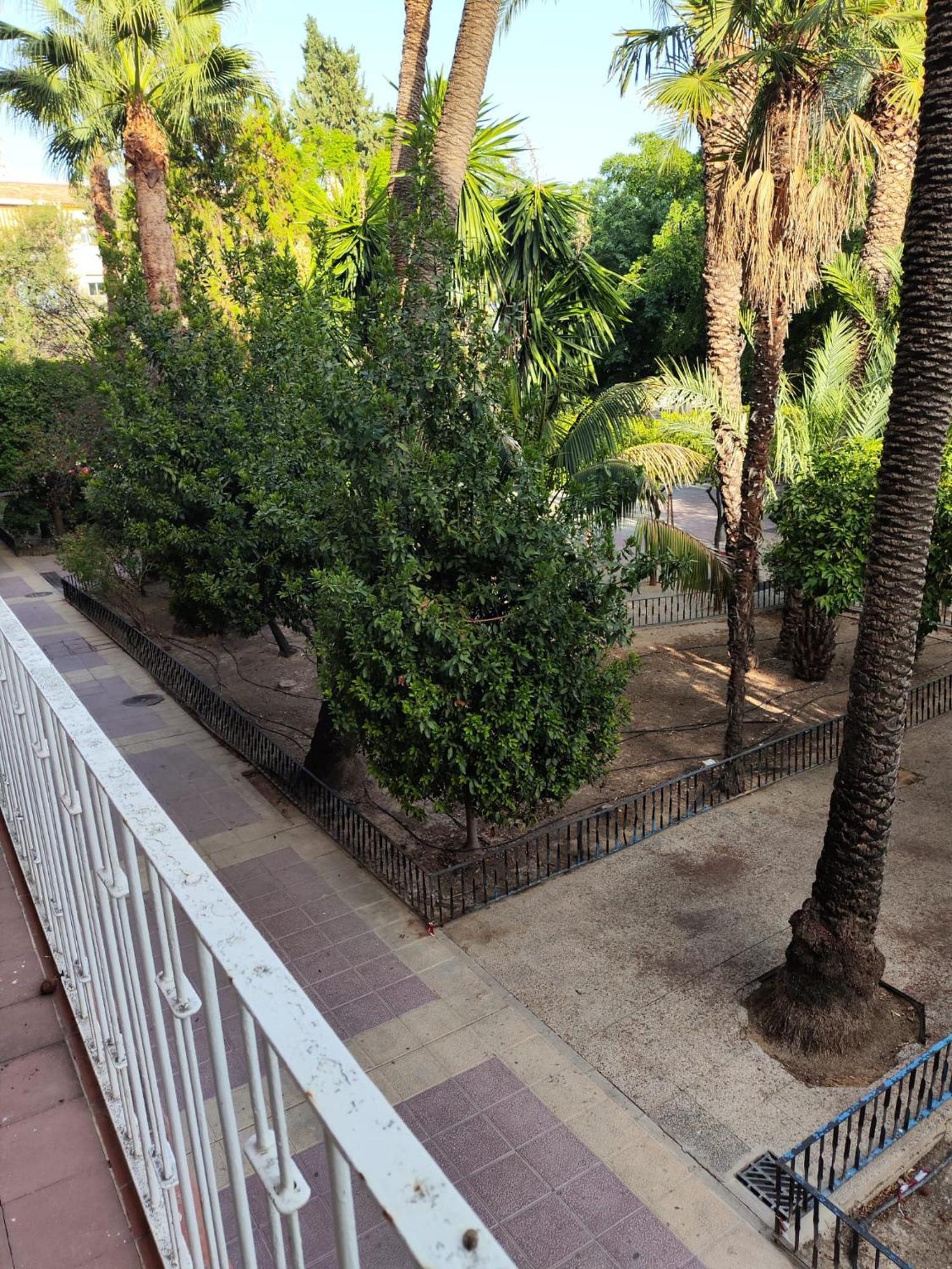 מורסיה Vistabella Deluxe Centro Ciudad Fica & Auditorio מראה חיצוני תמונה